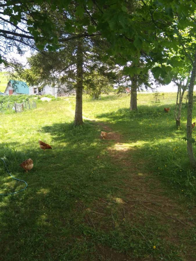 Family Farm Jezera Guest House Žabljak Екстериор снимка